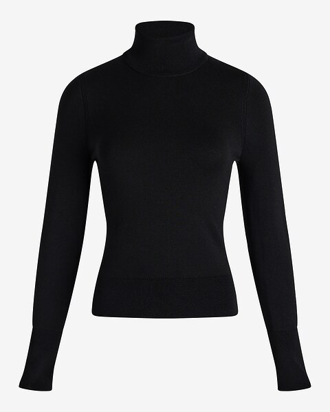 Silky Soft Fitted Turtleneck Sweater | Express
