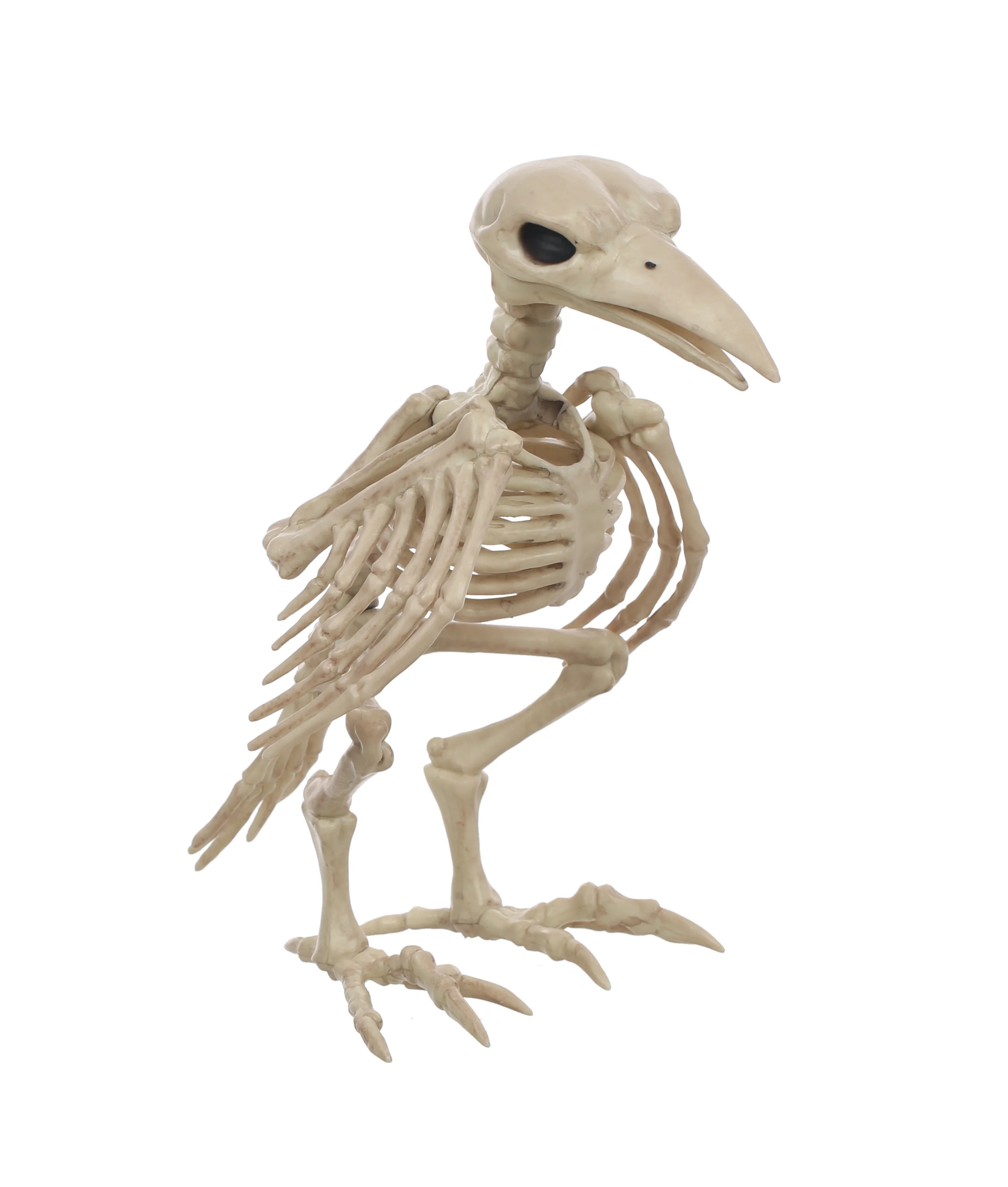 Official Crazybonez Faux Crow Skeleton | Walmart (US)