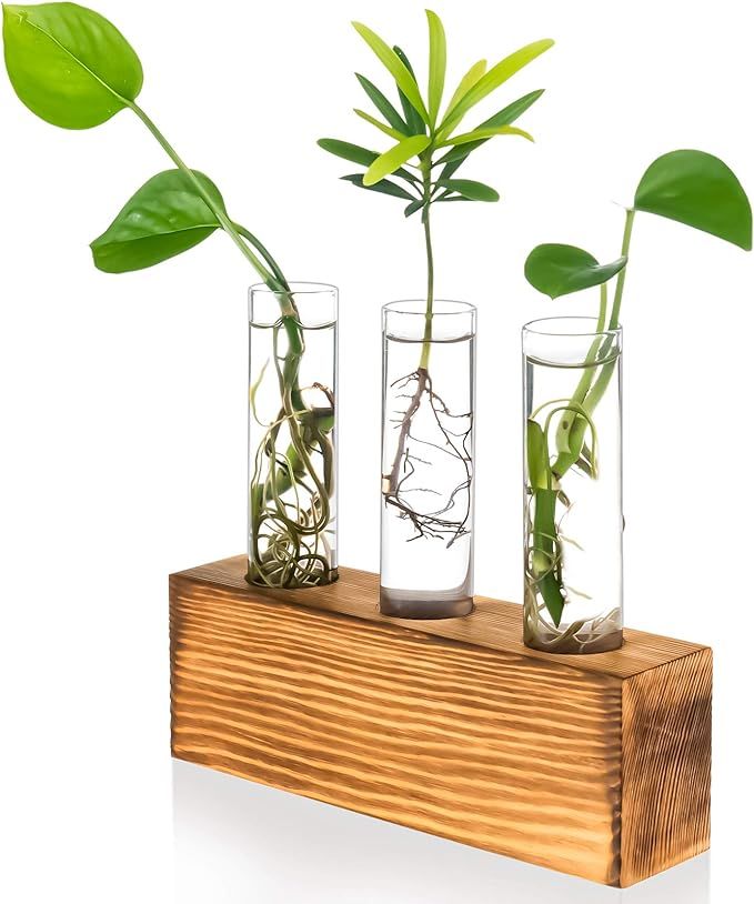 Kingbuy 3 Test Tubes Glass Planter Terrarium Flower Vase with Wooden Holder for Propagation Hydro... | Amazon (US)