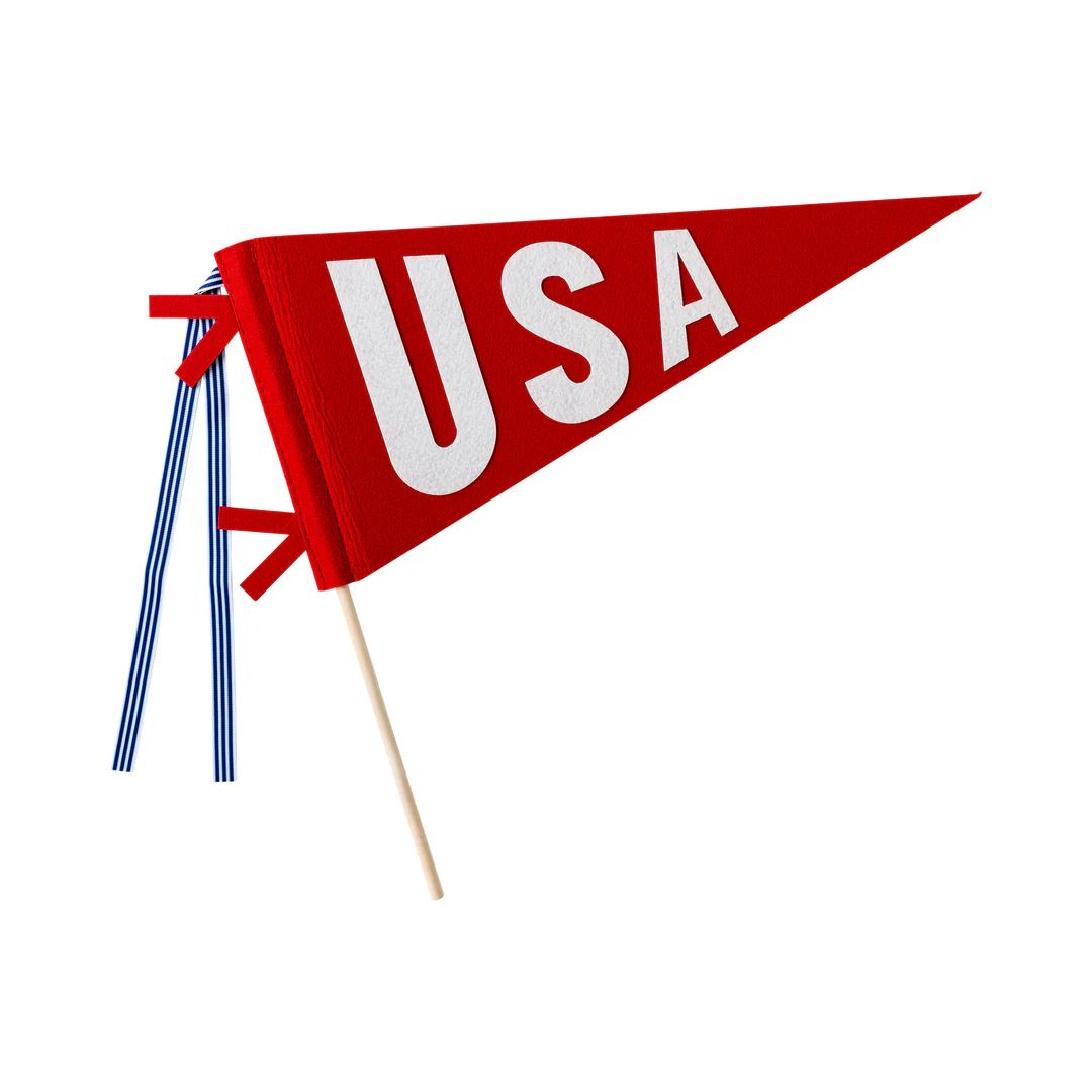 USA Felt Pennant Banner | My Mind's Eye
