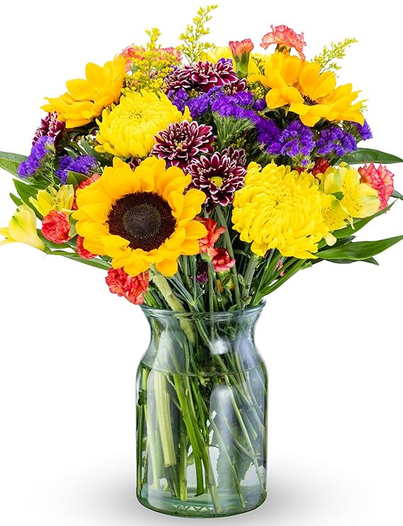 Benchmark Bouquets - Flowering Fields Sunflower Bouquet - Fresh Flowers for Delivery - Mothers Da... | Amazon (US)