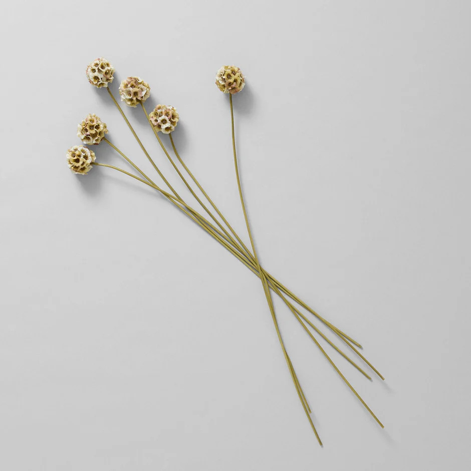 EcoFaux Scabiosa Stem, 24" | Bloomist, Inc