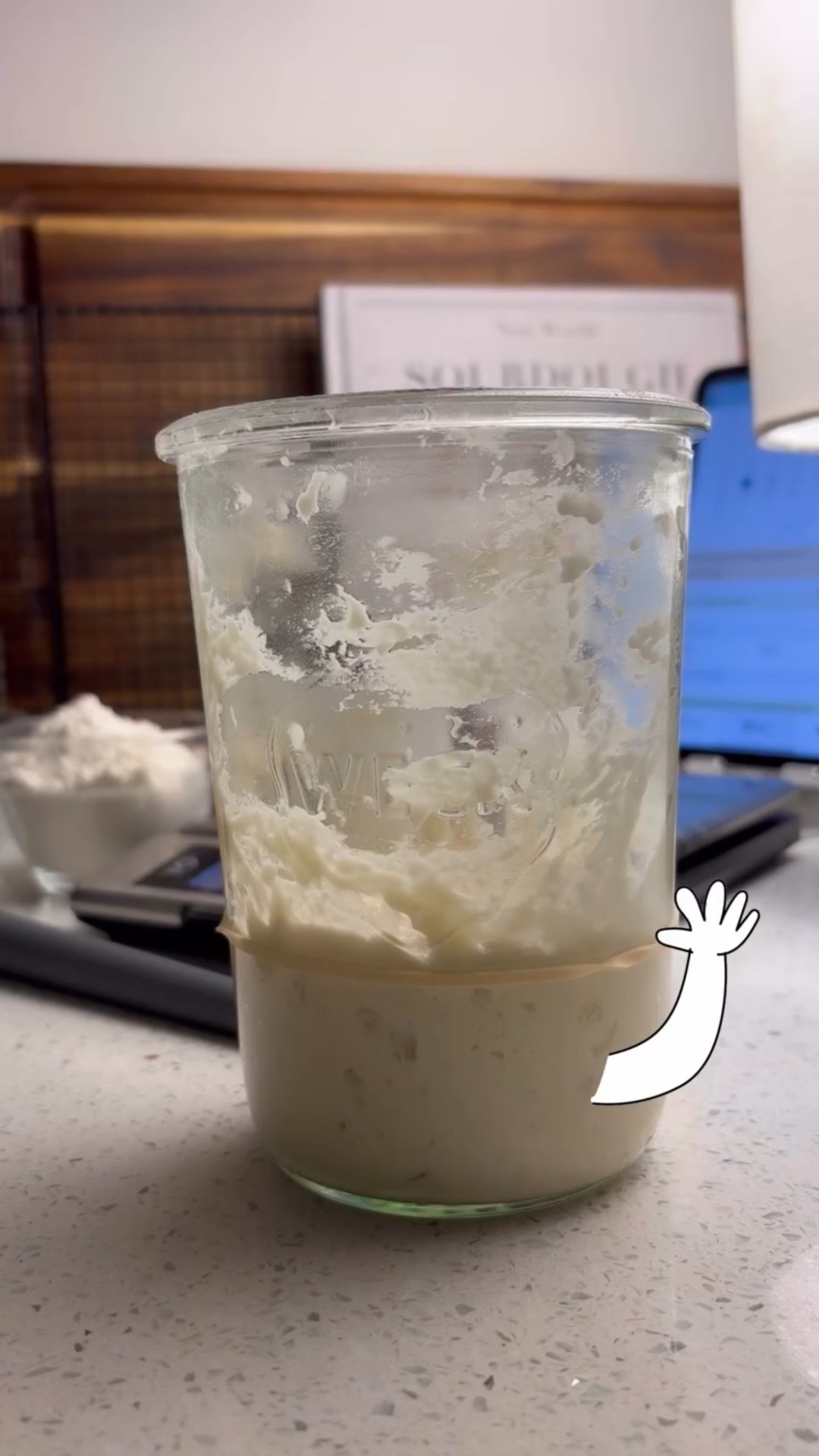 Day 9 with Herb — a little movement past the marker, thick and peanut-buttery with bubbles throughout.

This stage is normal, so I’m just staying consistent with his feedings. We’ll see what tomorrow brings.

Follow along as I make my first sourdough starter.

#SourdoughStarter #MealAndGraceKitchen

#LTKfoodie #LTKHome #LTKvlog