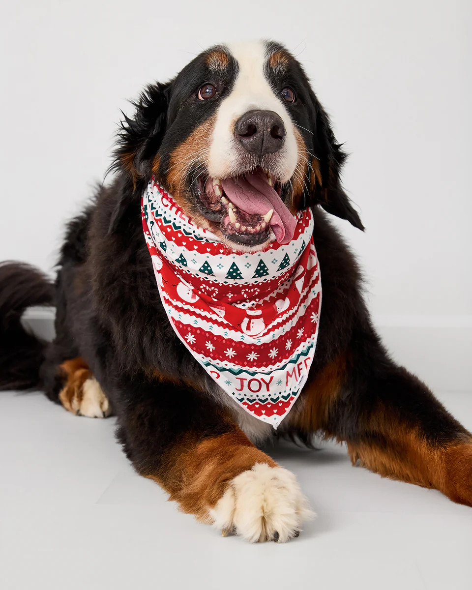 Festive Fair Isle Pet Bandana | Little Sleepies