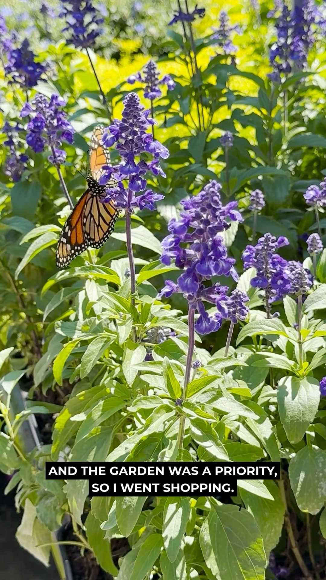 Not every week needs a plane ticket to feel full. 

When my spring break travel plans changed, I leaned into a “buffet of days”—a little gardening, a little creative work, a lot of baseball, and some really good food along the way. ✨

There’s something about mixing the things you love that just works. It felt productive, grounding, and honestly…better than the original plan.

Also: discovered a big issue with a mosaic stepping stone 👀 (mosaic friends, we’ll be talking about this soon).

If you’re in a season of slower plans or changed plans...this is your reminder that it can still be really good.

For mosaic tips, tutorials, inspiration, and so much more please visit my YouTube channel: YouTube.com/julieweilbacher, and follow @julieweilbacher on Instagram.

#lifestylecreator #springvibes #containergarden #springgarden #outdoorliving #mosaics #baseballmom #everydaymoments #slowliving #gardendecor #dayinthelife #springrefresh

#LTKdayinmylife #LTKHome #LTKstorytime