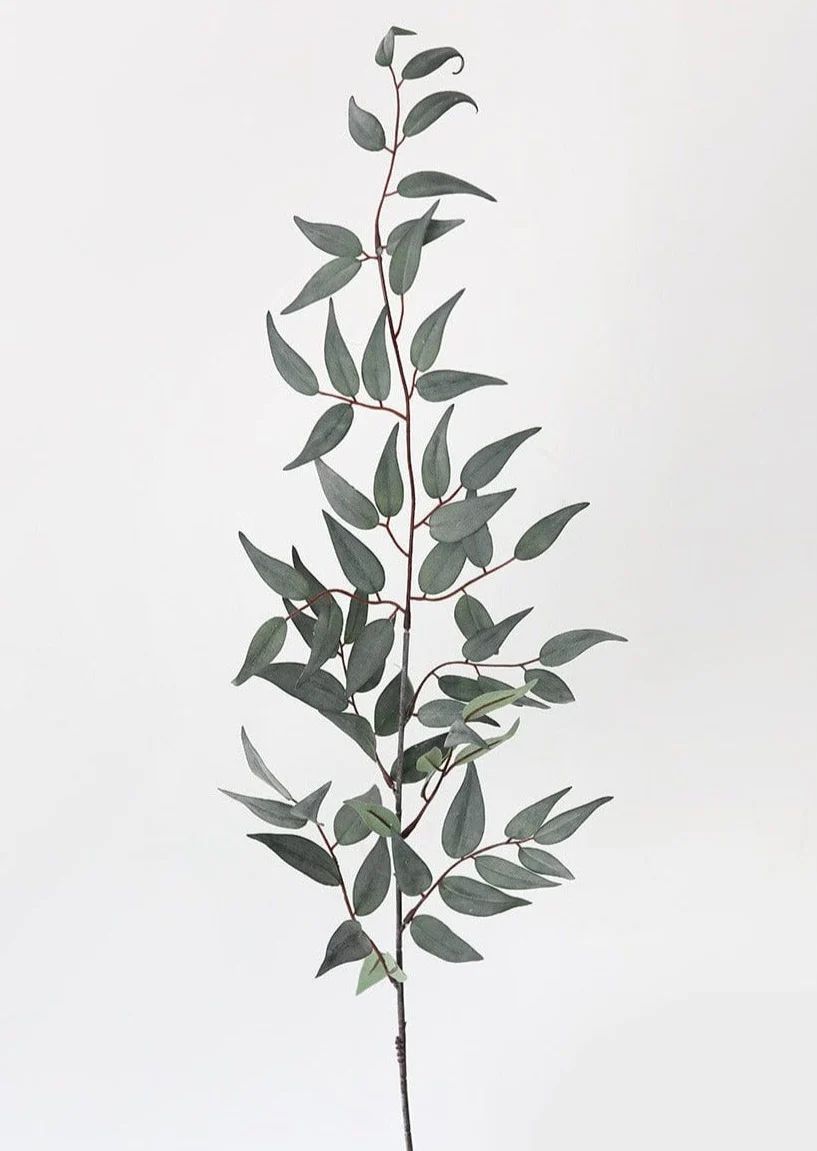 Italian Ruscus Leaf Branch | Fake Green Stems & Plants | Afloral.com | Afloral