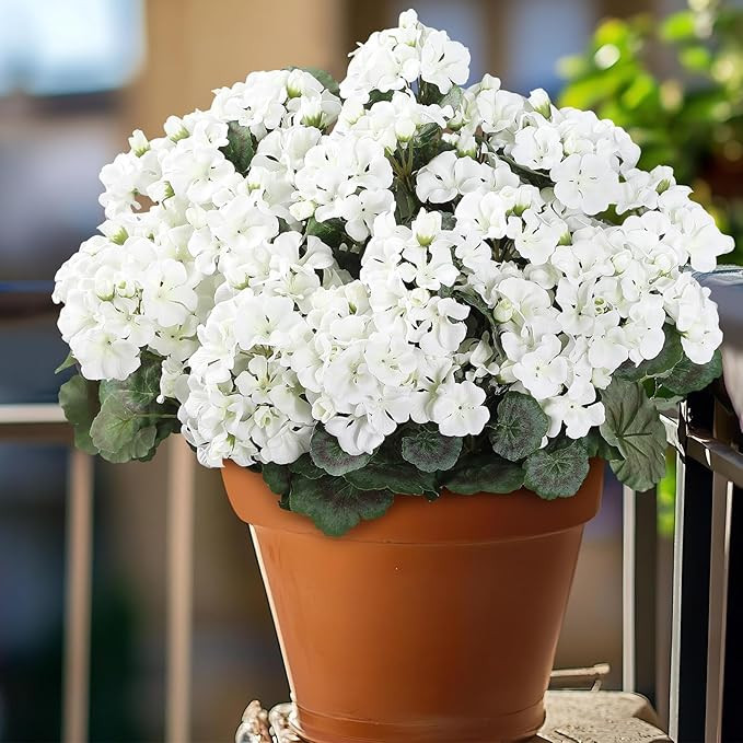 6 Bundle White Artificial Geraniums Flowers for Outdoor Decorations,UV Resistant Silk Fake Gerani... | Amazon (US)