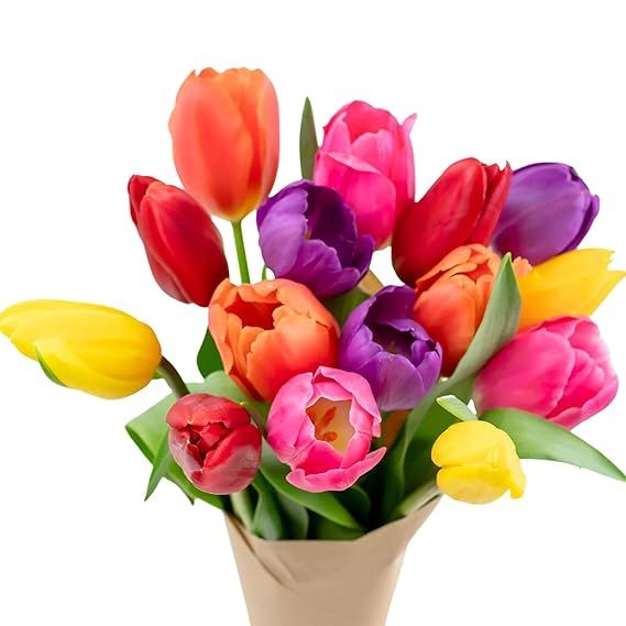 Stargazer Barn - Prime Overnight Delivery - The Happy Bouquet- Farm Fresh Colorful Tulips - Ship ... | Amazon (US)