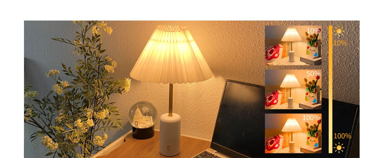 CHLORANTHUS Cordless Table Lamp, Touch Control Stepless Dimming, 5000mAh Rechargeable Battery Ple... | Amazon (US)