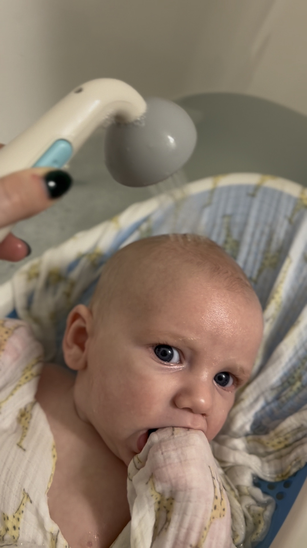 Make bath time fun again 🛁
Gone are the days of dumping a cup of water on your babies head. Give them a 5 star spa night, every night right at home! 😉



#LTKFindsUnder100 #LTKBaby #LTKFindsUnder50