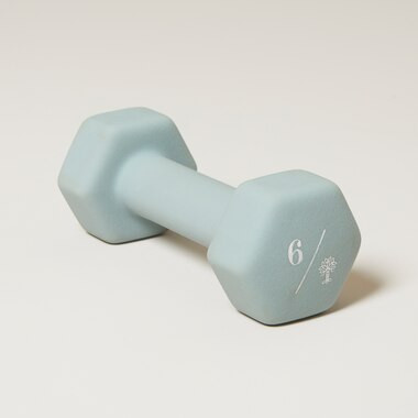 NEOPRENE DUMBBELL SEAFOAM  6LB | Indigo (CA)