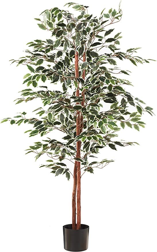 Artificial Ficus Tree with Variegated Leaves and Natural Trunk, Beautiful Fake Plant for Indoor-O... | Amazon (US)
