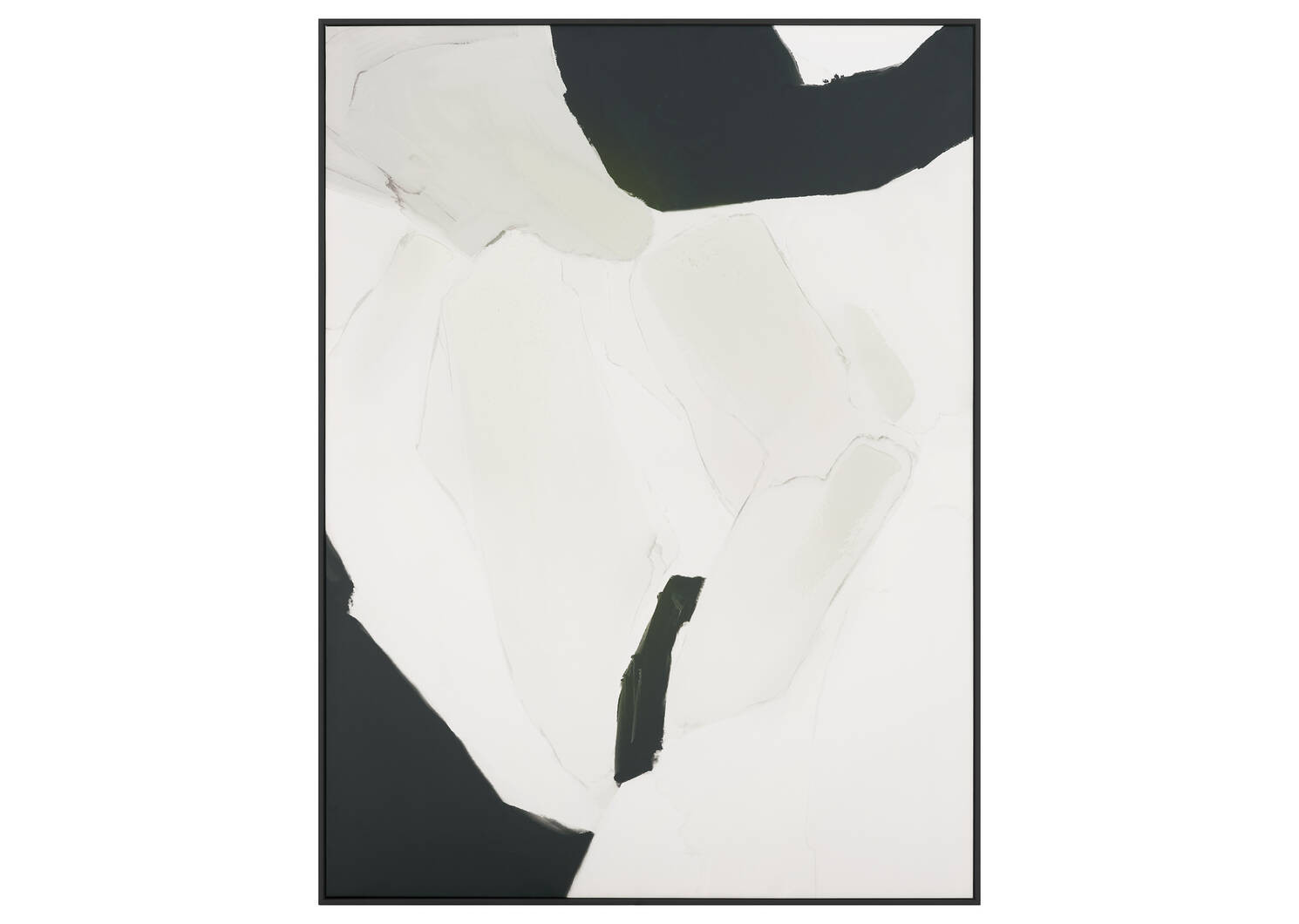 Curiosities I Wall Art | Urban Barn