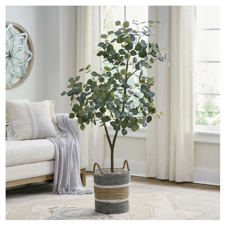 Eco Convert Eucalyptus Tree | Grandin Road | Grandin Road