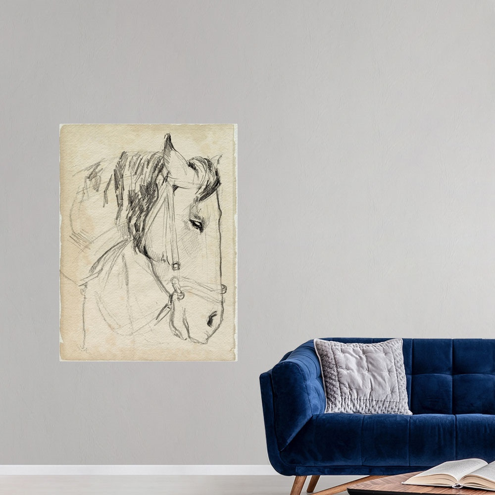 Horse In Bridle Sketch I Wall Art | Great Big Canvas - Dynamic