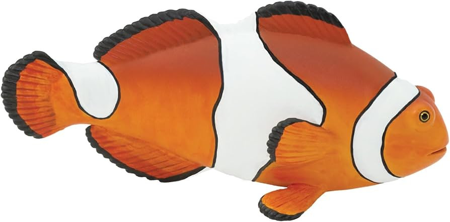 Safari Ltd. Clown Anemonefish Figurine - Detailed 4.75" Plastic Model Figure - Fun Educational Pl... | Amazon (US)