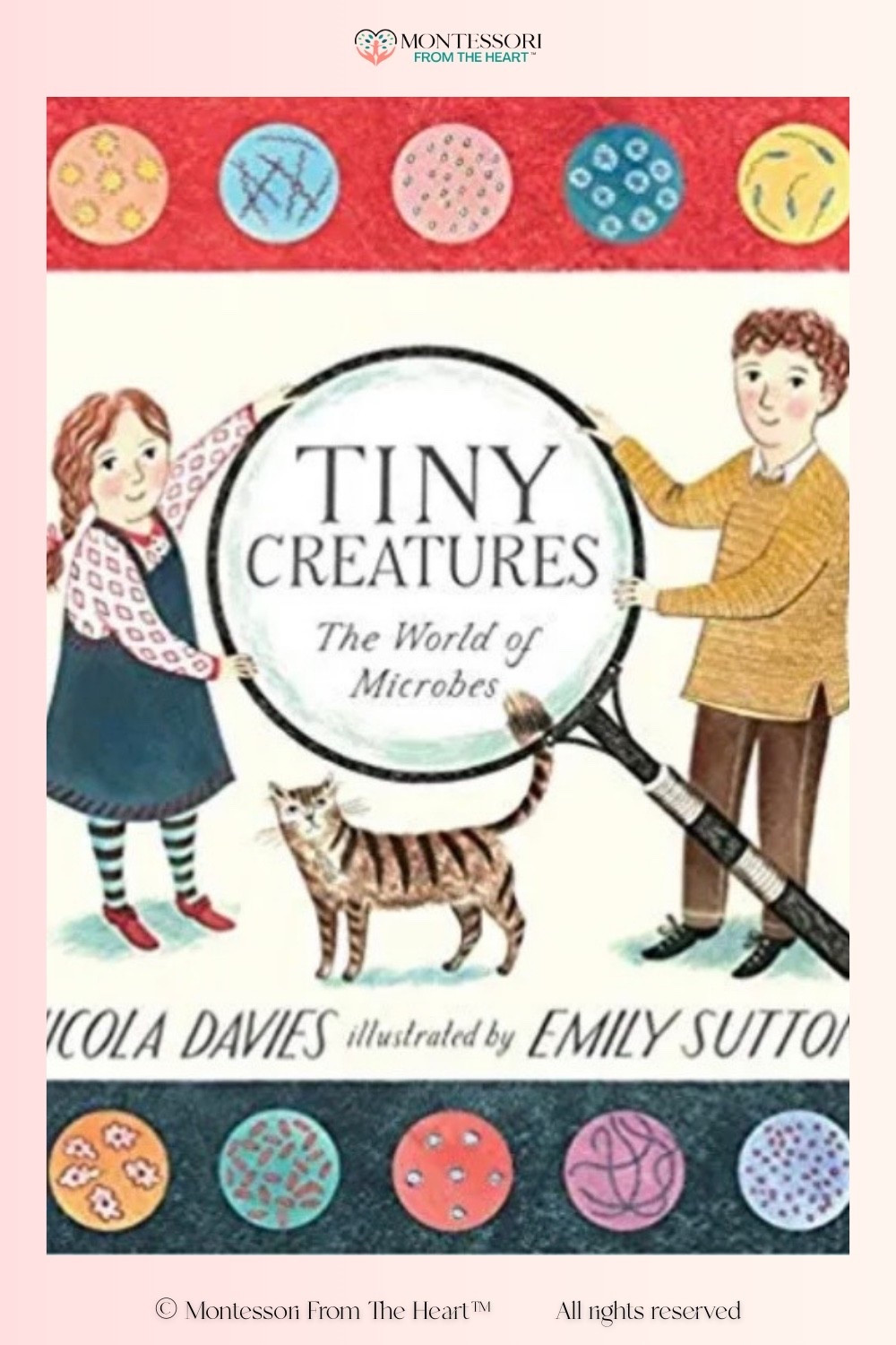 Tiny Creatures ~ Book for Kids 

#LTKKids #LTKstorytime #LTKHome