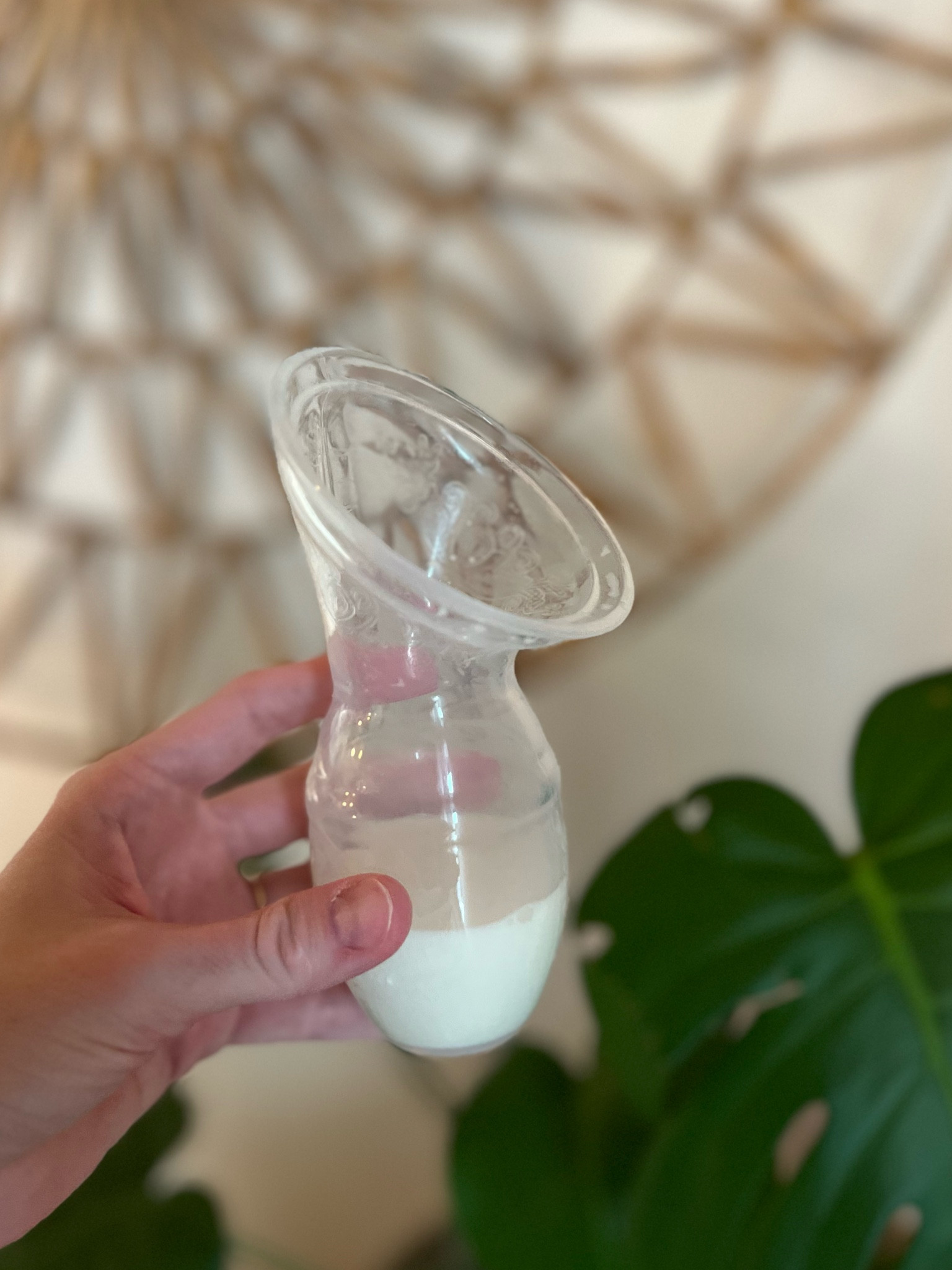 Let’s talk about the Haakaa! 🍼 The Haakaa is a breastfeeding must-have! This simple, hands-free silicone pump collects letdown and excess milk while you nurse, helping you build a stash without extra effort. Simply attach it to the opposite side. It’s compact, easy to clean, and perfect for busy moms. It’s also very affordable which is a huge plus!