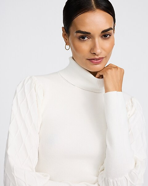Turtleneck Textured Stitch Long Sleeve Sweater | Express