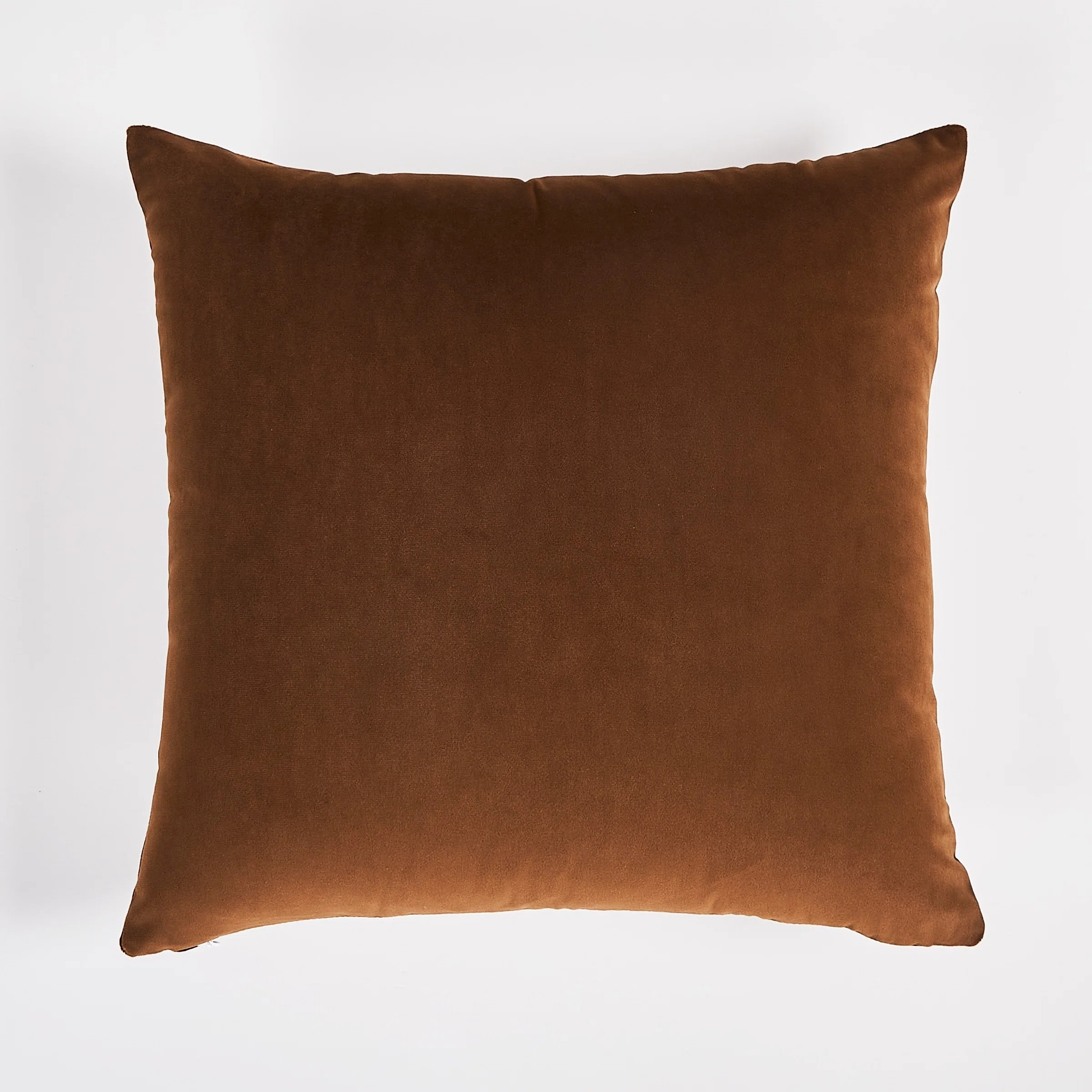 Solid Color Velvet Throw Pillow | Wayfair North America