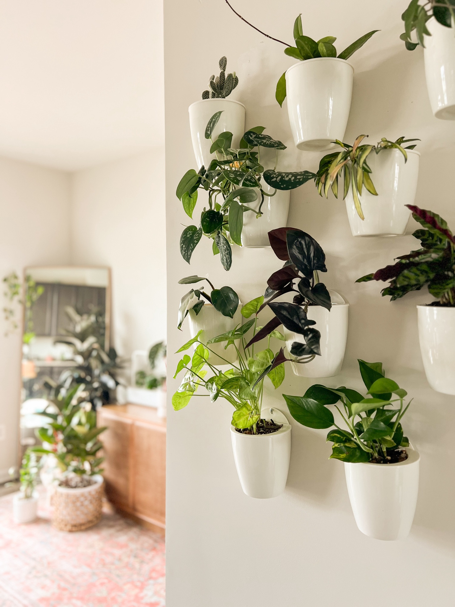 I absolutely love these wall planters. They’re affordable, and create such a statement! 

#LTKfindsunder100 #LTKhome #LTKfindsunder50