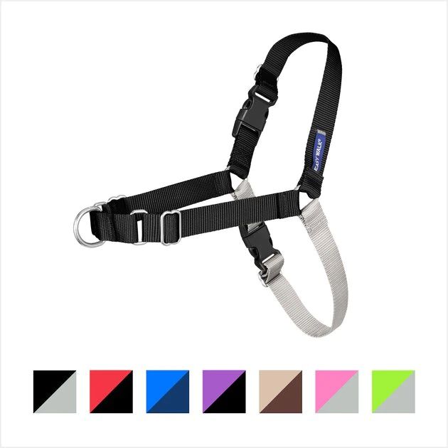 PetSafe Easy Walk Dog Harness | Chewy.com