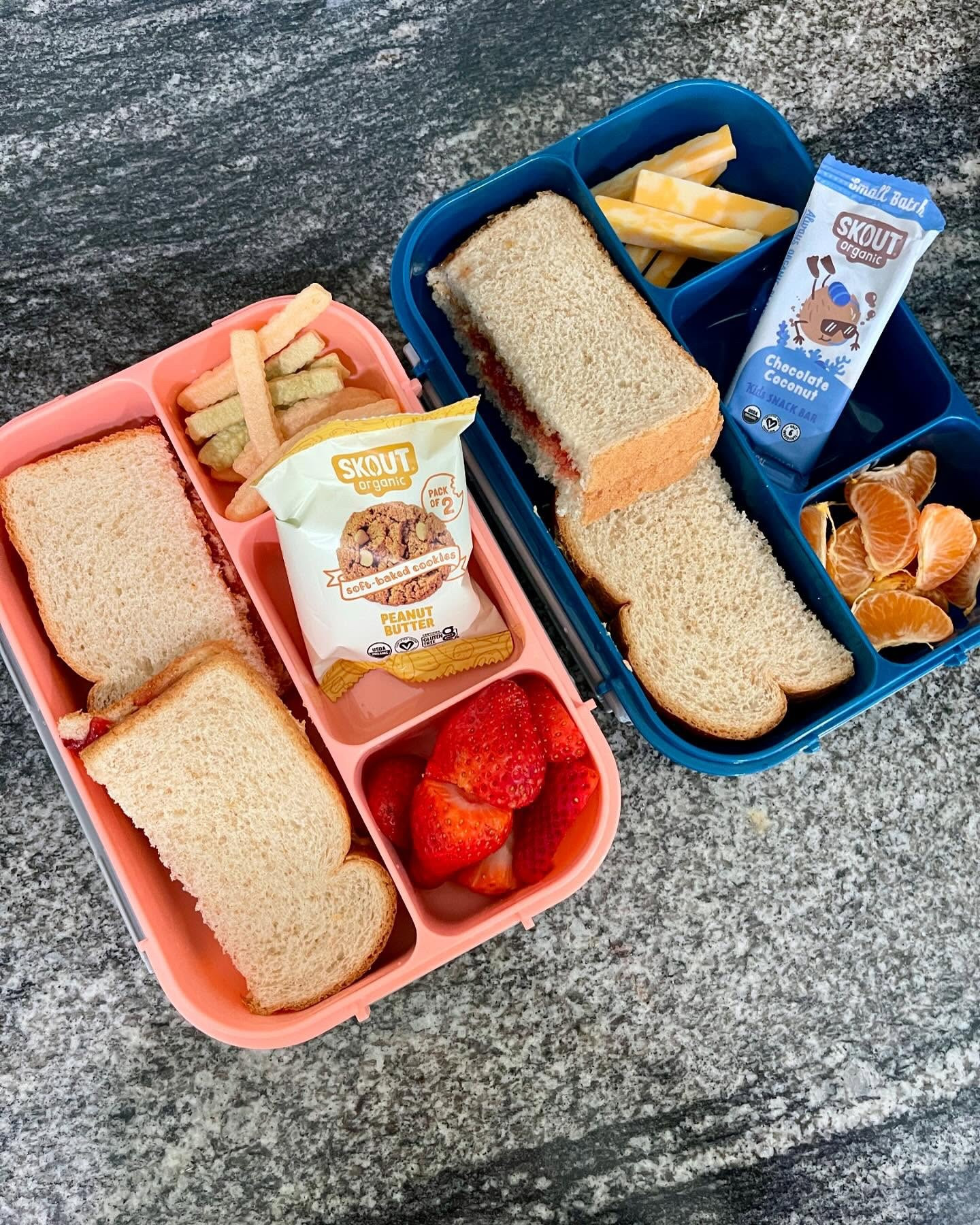We love taking our classroom outdoors and packing lunch! I always make sure to pack @skoutorganic bars and soft baked cookies! They are made with clean simple ingredients, plant-based, and organic. Use code ALICIA at checkout for 15% off!

nationalpackyourlunch lunchbox healthysnacks

#LTKFamily #LTKActive #LTKKids