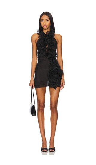 Ruffles Dress in Black | Revolve Clothing (Global)