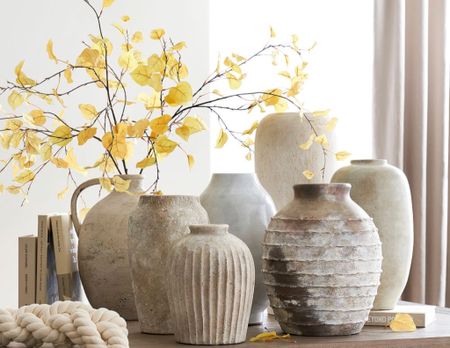 🌟LIMITED TIME S A L E🌟
Artisan Handcrafted Terracotta Vases

Inspired by the elegance and allure of found artifacts, this collection gives your space a look of the past with a modern feel. Neutral tones make it a go-to for all seasons as you swap out dried florals for fresh bouquets. Display together for a striking presentation or choose your favorite and showcase its unique beauty.


#LTKFind #LTKhome #LTKsalealert