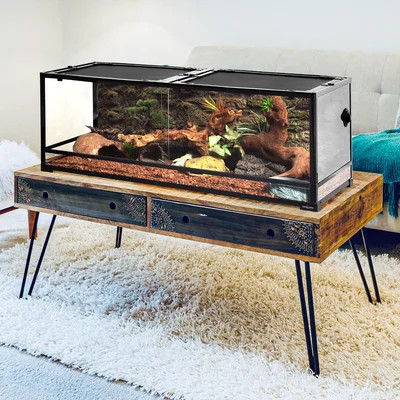 88 Gallon Terrarium | Wayfair North America