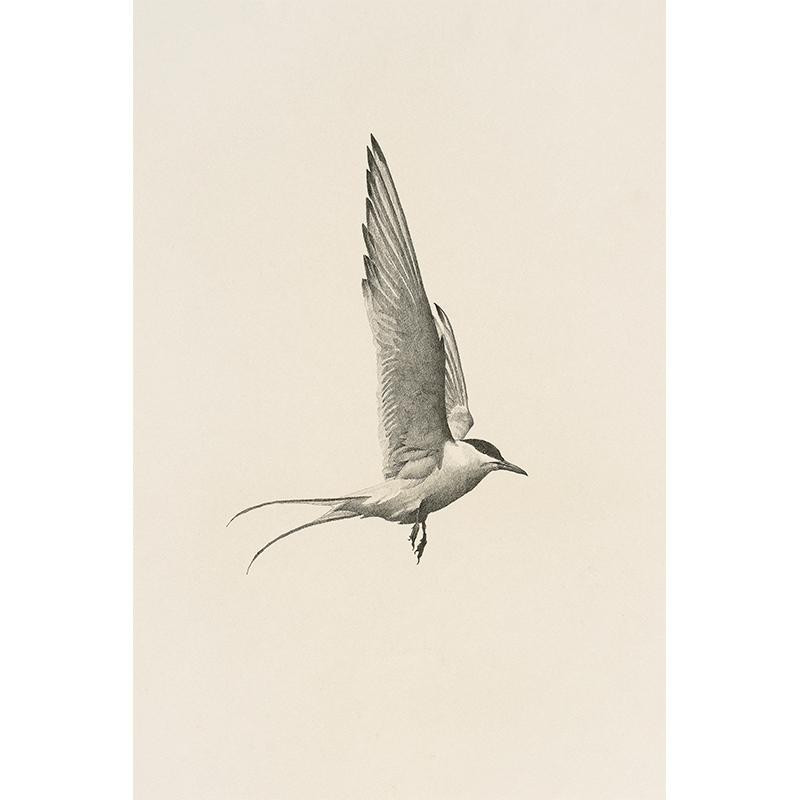 FLIGHT | Juniper Print Shop