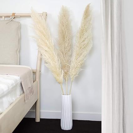 Natural Dried Beige Pampas Grass Decor - From Winding Trail Supply. 3 Stems (48 Inches Tall) - Pr... | Amazon (US)