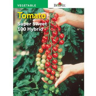 Tomato, Cherry, Super Sweet Seed 100 Hybrid | The Home Depot