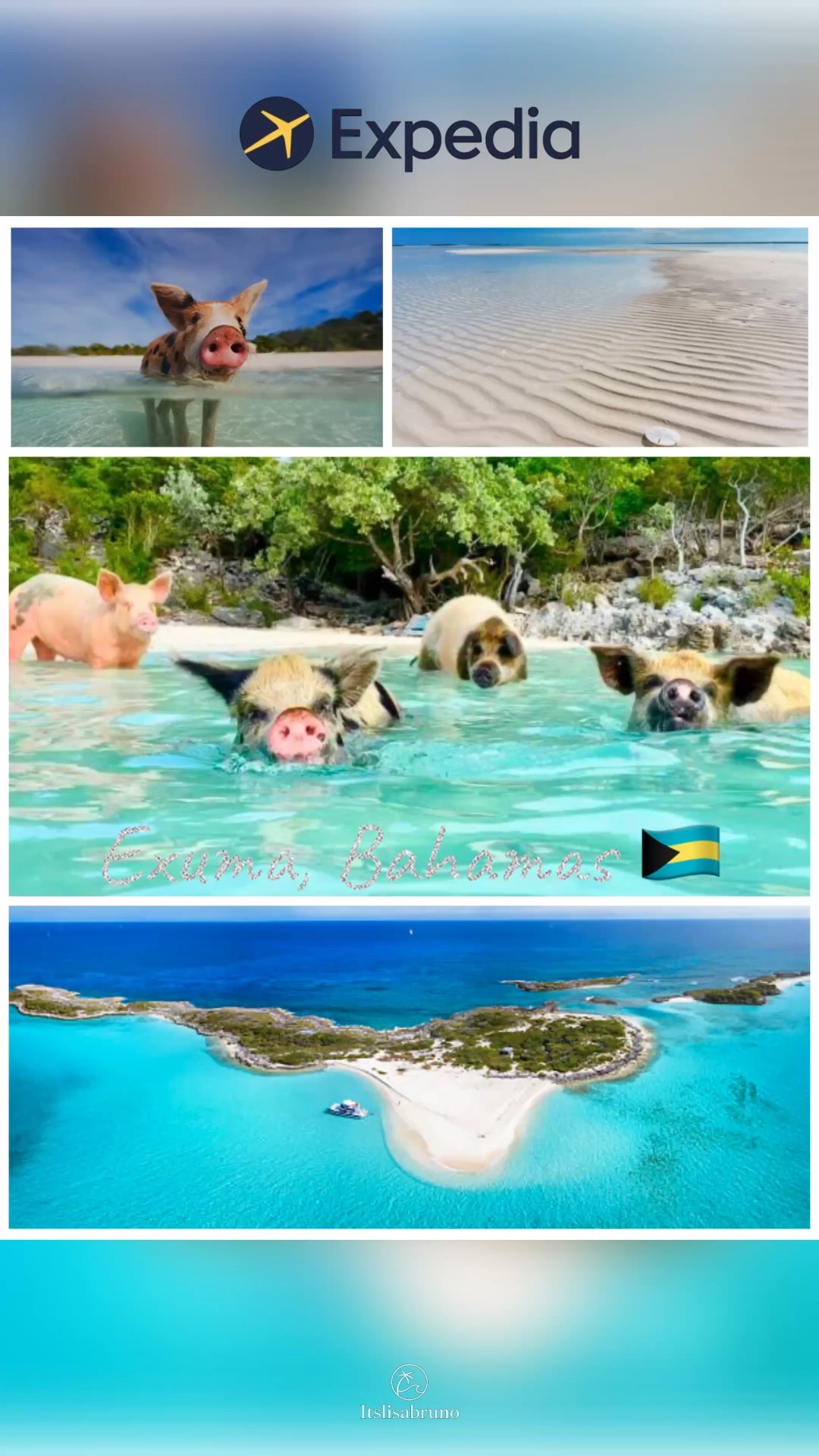 Exuma, Bahamas 🇧🇸

Former cruise ship croupier here — I visited Exuma many times during my cruise ship days and now travel here with my family. If you’re craving untouched beauty, this island is pure magic. These are my don’t-miss highlights:

• Unreal turquoise water and sandbars
• Famous swimming pigs at Big Major Cay
• Secluded beaches + quiet coves
• Snorkeling, kayaking, and island hopping
• Perfect for a peaceful, nature-filled escape

🐷 Planning a spring break or summer trip?
Book your Exuma stay through my @Expedia link to support my travel content.

👇🏻 Ask me anything below!
Best island tours?
Family-friendly excursions?
Where to stay for first-time visitors?

Happy to help you plan 🌴💙

I also linked a few beach favorites I always pack for island trips ⛱️

#Ad #Exuma #BahamasTravel #IslandEscape #TropicalDream #SpringBreak2026 #FamilyTravel #CruiseLife #ExpediaLink 


#LTKU #LTKSeasonal #LTKTravel