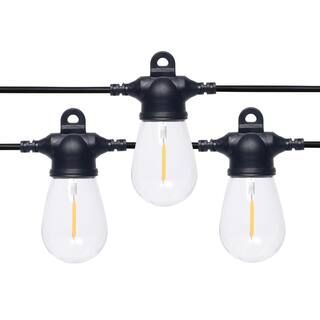 Outdoor 48 ft. 24-Light Solar Powered Edison Bulb LED String Light | The Home Depot