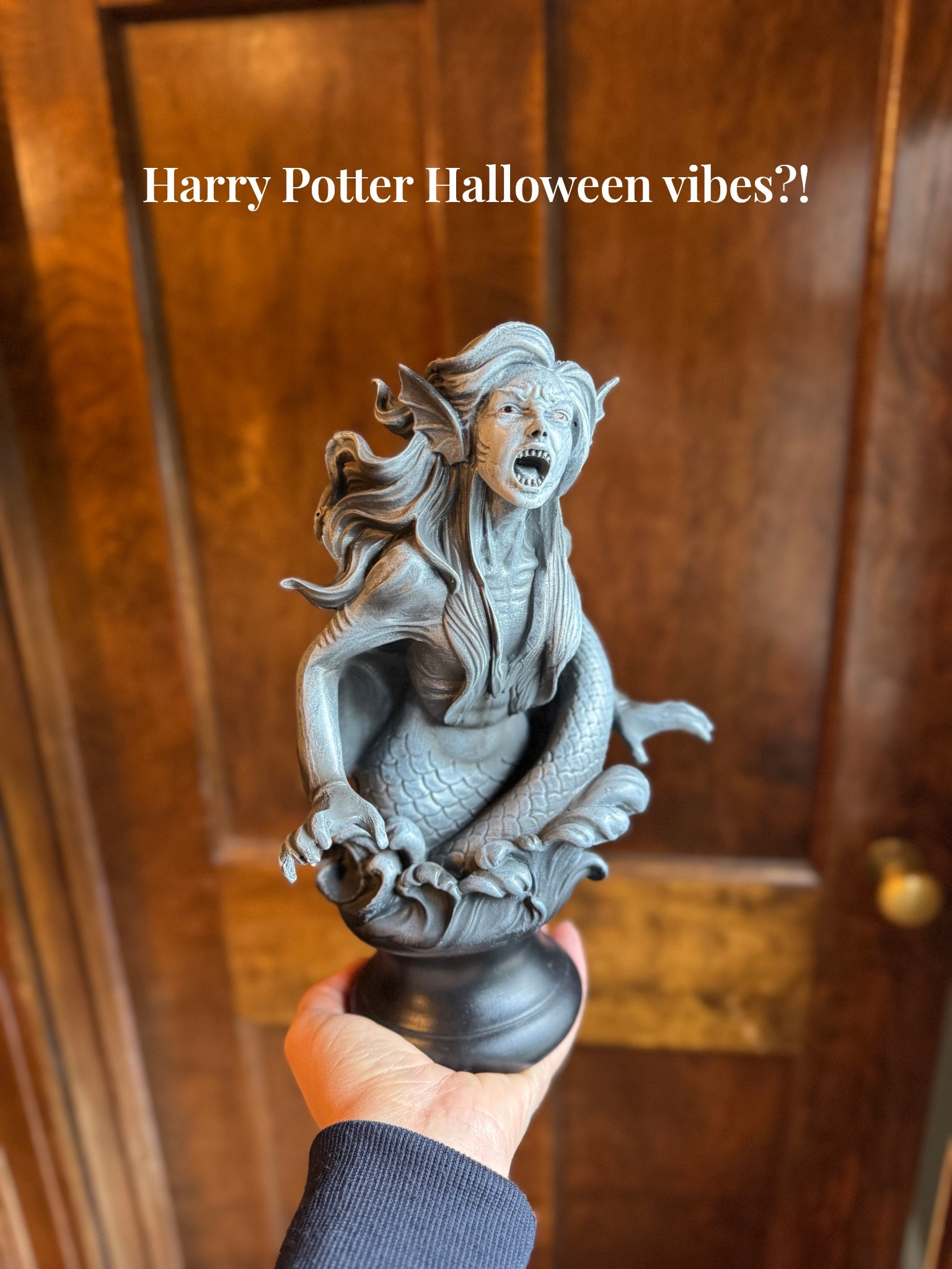 Giving Goblet of Fire 🔥🧜‍♀️