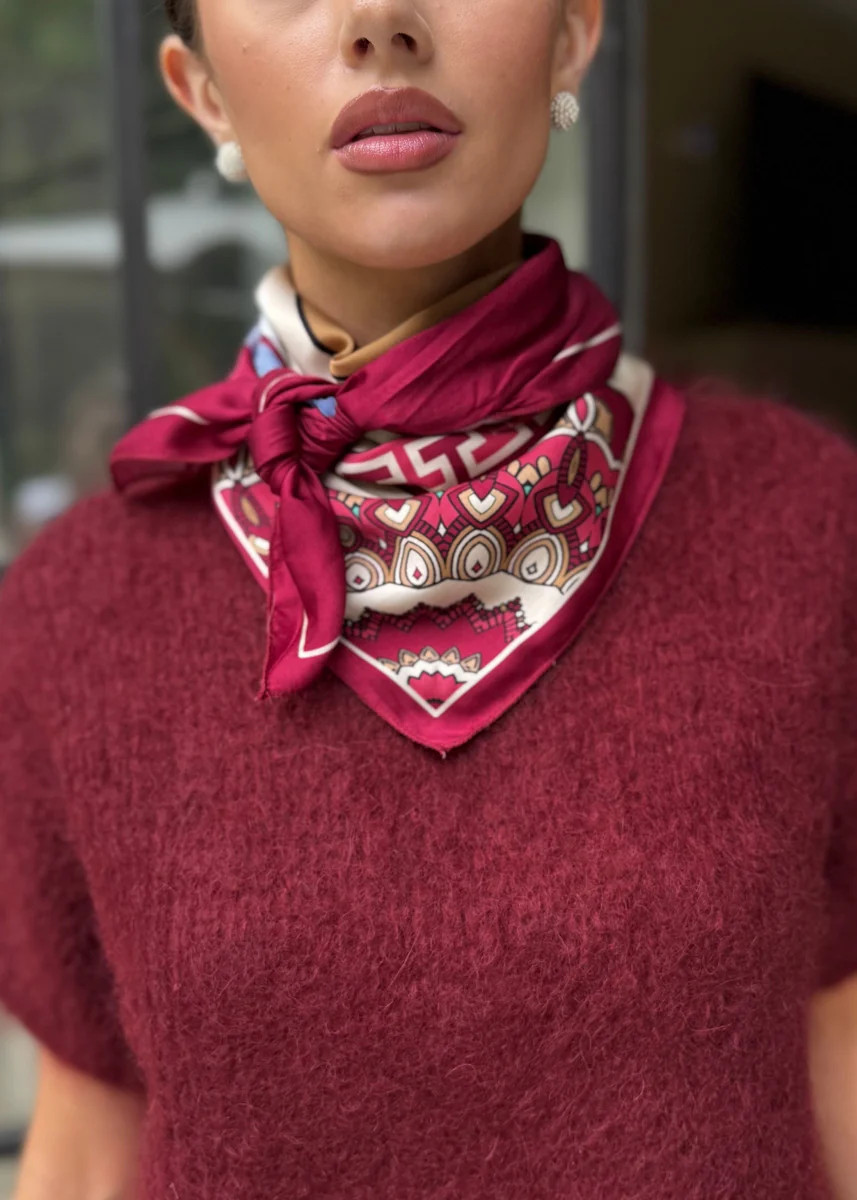 Collins Geometric Equestrian Print Scarf - Bordeaux | Benaar La