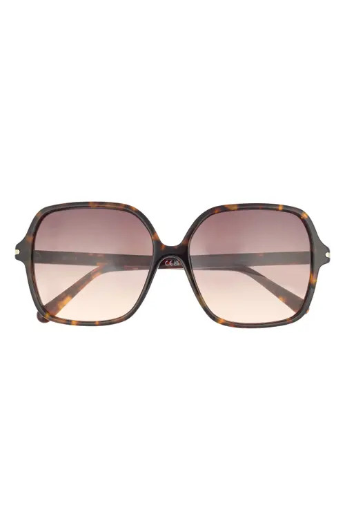 QUAY Press Tour 60mm Gradient Square Sunglasses in Neutral Tort/Dark Fawn at Nordstrom | Nordstrom