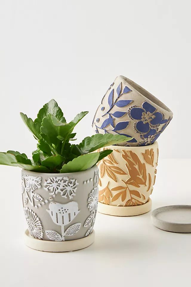 Gladia Planter | Anthropologie (US)