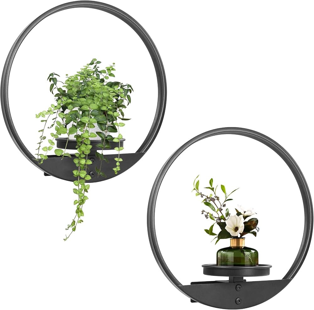 Round Picture Frame Wall Plant Holder Black Wall Hanging Planters Metal Window Plant Shelf Plant ... | Amazon (US)