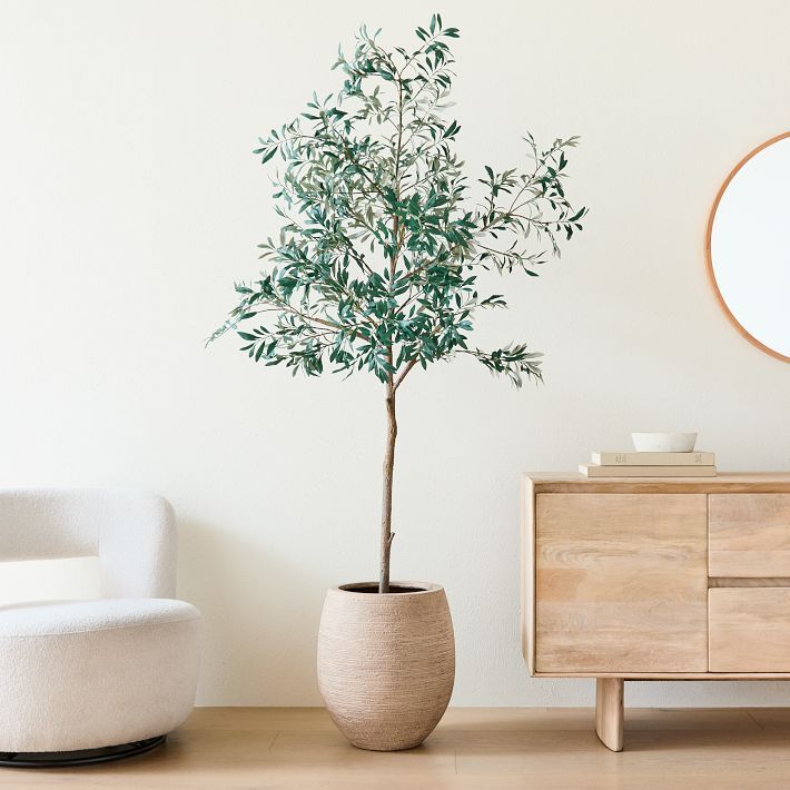 Faux Potted Olive Tree & Curved Round Planter Bundle | West Elm (US)