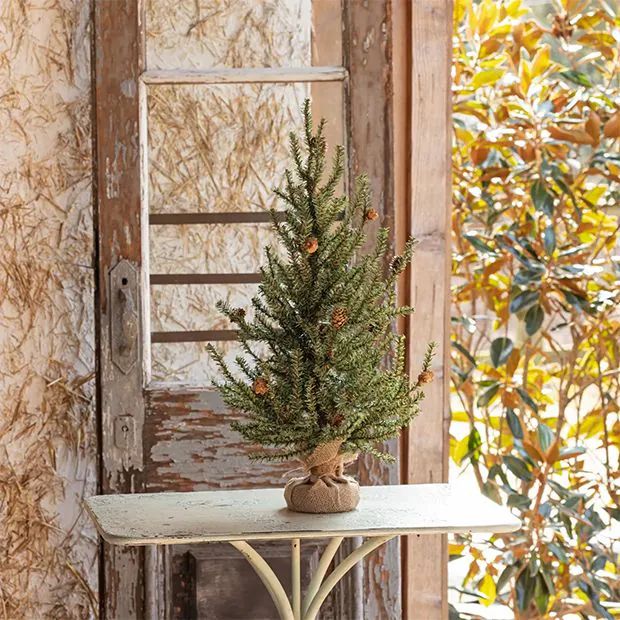 Burlap Wrapped Fir Seedling Tree 24 Inch | Antique Farm House