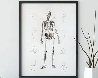 Skull Printable, Digital Download, Skull Poster, Art Print, Square Print, Human Skull Print, Medi... | Etsy (US)