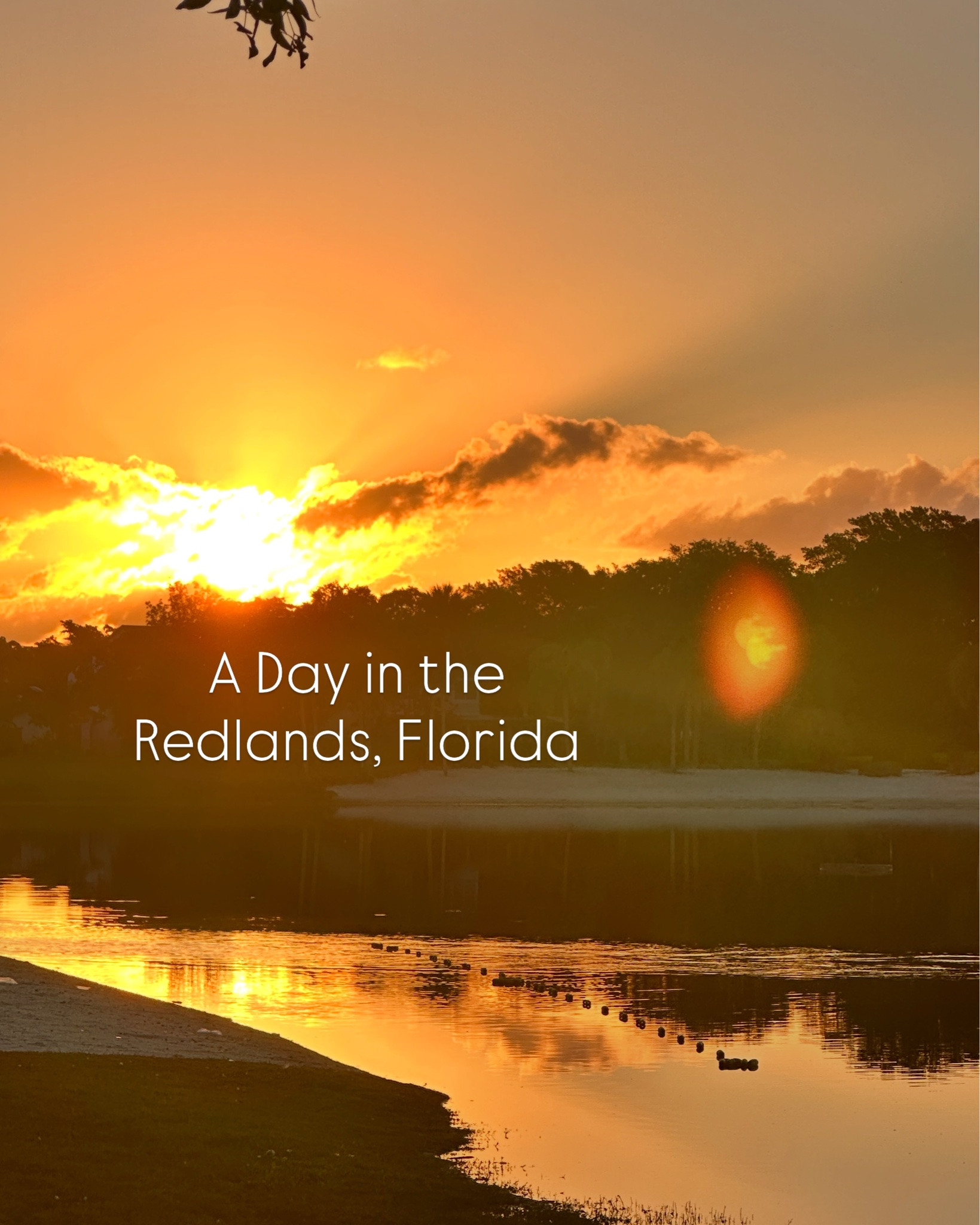 Bonjour! 
Aquí les dejo un súper plan para este fin de semana. #redlands 

I got your weekend plans!

#miami #mustdo #florida