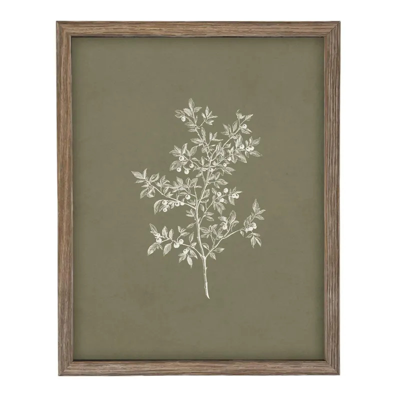 Framed Vintage Botanical Sketch Print: Farmhouse Canvas Art #ST-170 | Etsy (Global)