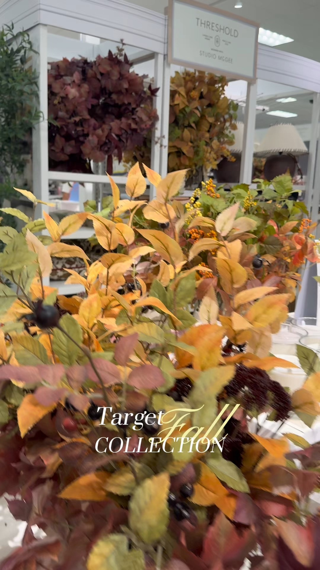 All the fall things at Target this week 

#LTKFindsUnder100 #LTKHome #LTKFindsUnder50