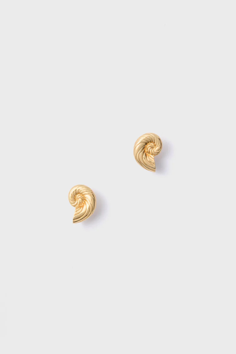 Gold Nautilus Shell Stud Earrings | Tuckernuck (US)