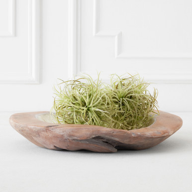 Faux Airplant Sphere | Z Gallerie