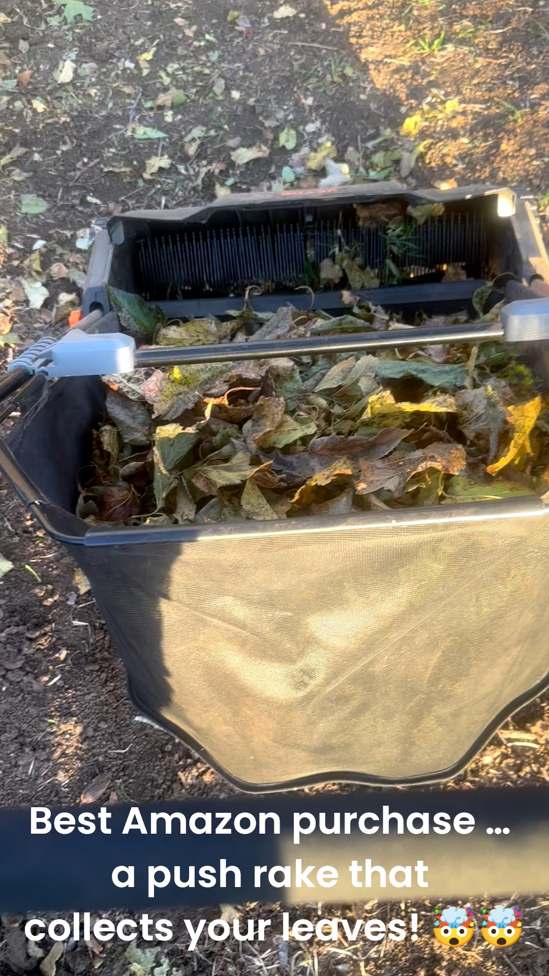 A push rake that collects your leaves. No more awkward bending for long periods of time. This thing is genius and it’s on Amazon! It’s so easy I let my 5 year old do it when she wants to help 🙋‍♀️😍

#LTKSeasonal #LTKdayinmylife #LTKHome