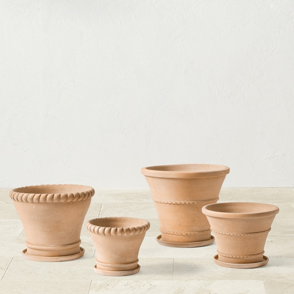 Williams Sonoma Terracotta Rope Planter | Williams-Sonoma